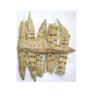 Raig Mahi (Arabian Sand Fish)