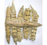 Raig Mahi (Arabian Sand Fish)