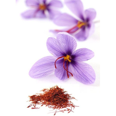 Buy Premium Saffron (Zafraan) Online – Hafiz Pansar | Authentic & Fresh