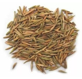 Karwa Jau Talkh (Holarrhena Pubescens Seeds)