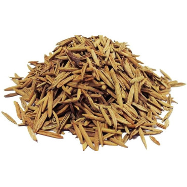 Karwa Jau Talkh (Holarrhena Pubescens Seeds)