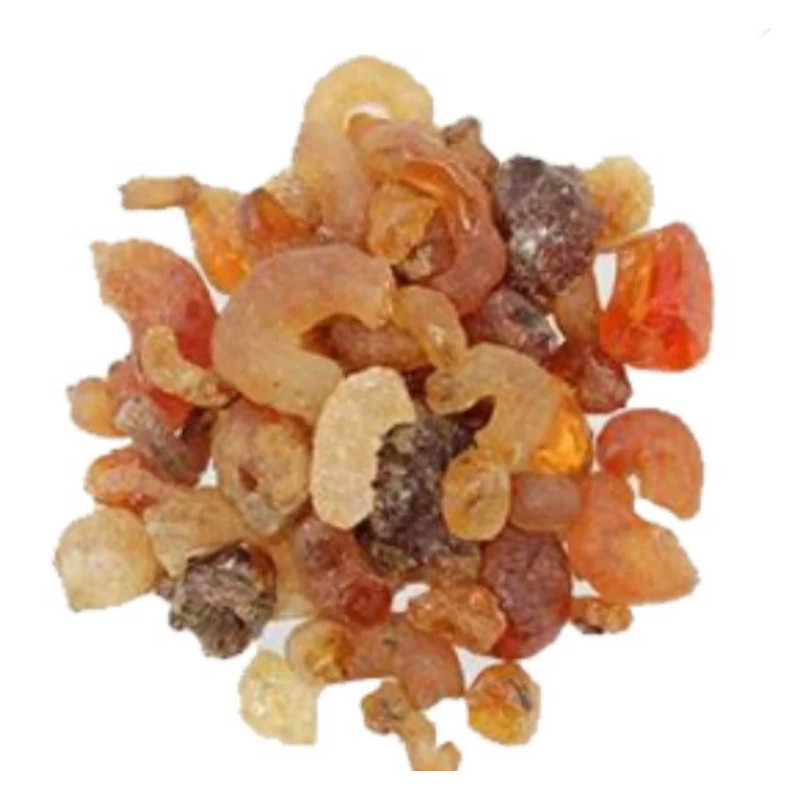 Gond Phulai / Cheerh Phulai (Acacia Gum)