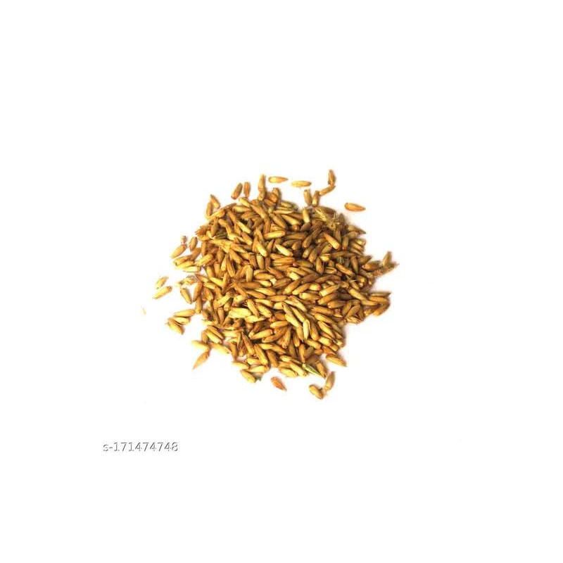 Puthkanda Seeds (Achyranthes Aspera) - Natural Health Booster | Hafiz Pansar