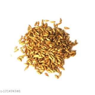 Puthkanda Seeds (Achyranthes Aspera) - Natural Health Booster | Hafiz Pansar