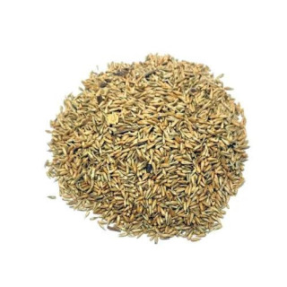 Puthkanda Seeds (Achyranthes Aspera) - Natural Health Booster | Hafiz Pansar