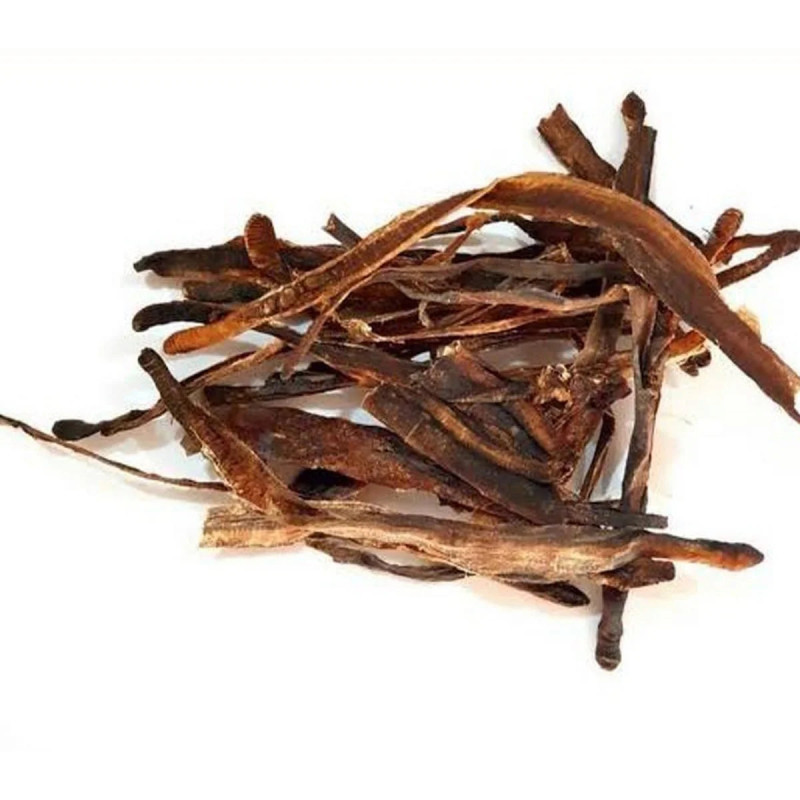 Kharateen - Dried Earthworm (Lumbricina) | خراطین