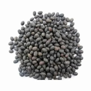 Kol Doda - Kanwal Gatta (Lotus Seeds)