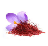 Buy Premium Saffron (Zafraan) Online – Hafiz Pansar | Authentic & Fresh