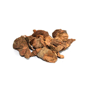 Salvia Haematodes Linn (Behman Surkh)