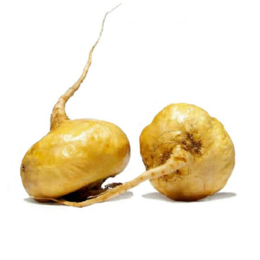 Yellow Maca Root (Lepidium Meyenii)