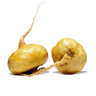 Yellow Maca Root (Lepidium Meyenii)