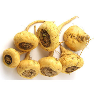 Yellow Maca Root (Lepidium Meyenii)
