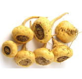 Yellow Maca Root (Lepidium Meyenii)