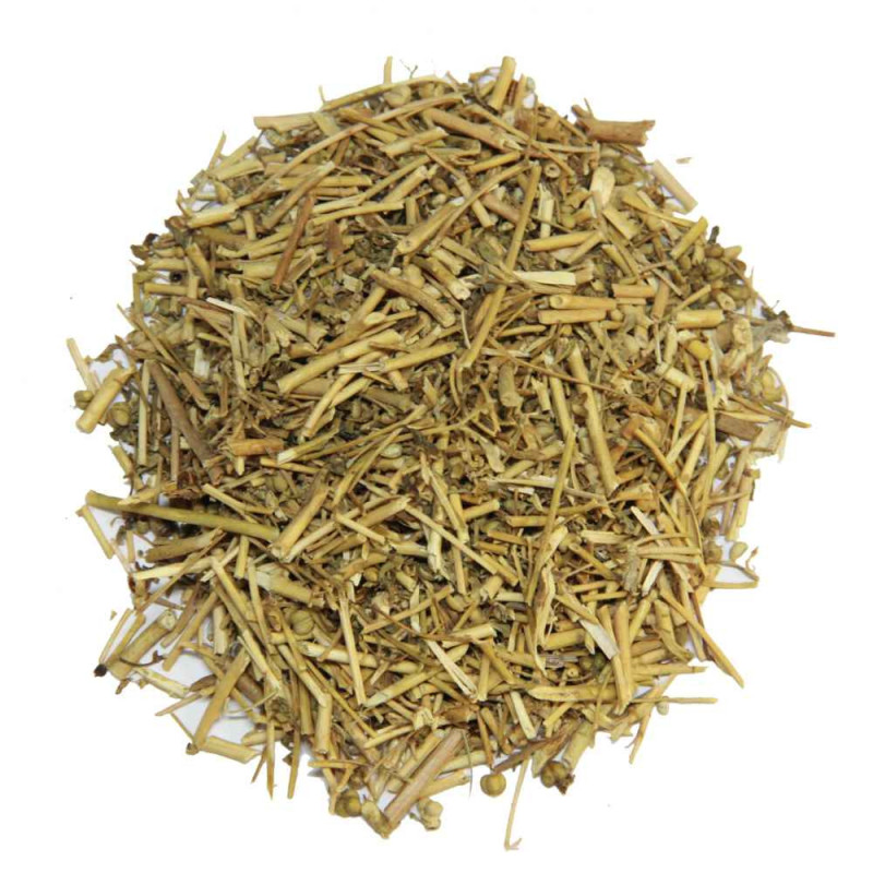 Buy Barge Sadaab (Garden Rue) Online in Pakistan | Herbal Remedy | Hafiz Pansar Buy Barge Sadaab (Garden Rue) Online in Pakistan | Herbal Remedy | Hafiz Pansar