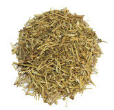 Buy Barge Sadaab (Garden Rue) Online in Pakistan | Herbal Remedy | Hafiz Pansar