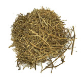 Buy Barge Sadaab (Garden Rue) Online in Pakistan | Herbal Remedy | Hafiz Pansar