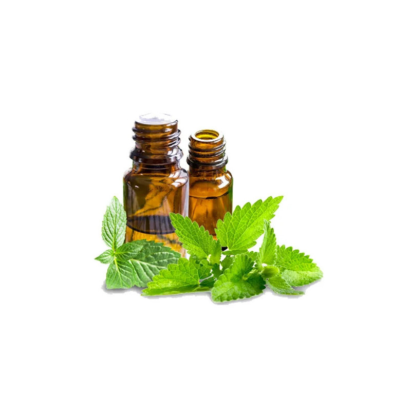 Peppermint Oil - Natural Relief for Headaches & Digestion | Hafiz Pansar Peppermint Oil - Natural Relief for Headaches & Digestion | Hafiz Pansar