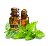 Peppermint Oil - Natural Relief for Headaches & Digestion | Hafiz Pansar