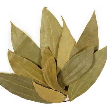 Bay Leaves (Tez Patta)