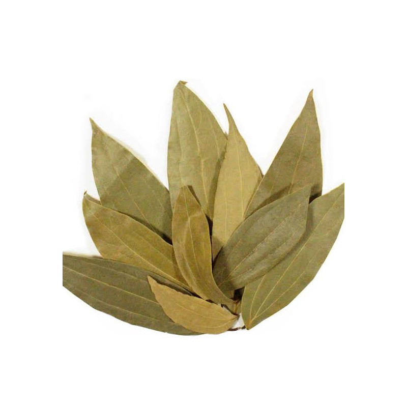 Bay Leaves (Tez Patta)