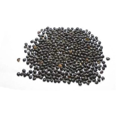 Chaksu Seeds (Cassia Absus) | چکسو بیج