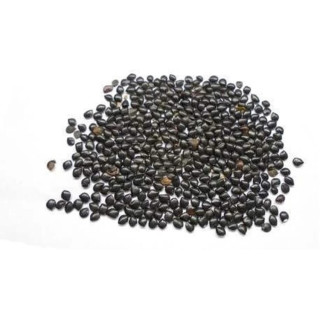 Chaksu Seeds (Cassia Absus) | چکسو بیج