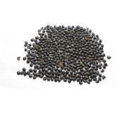 Chaksu Seeds (Cassia Absus) | چکسو بیج