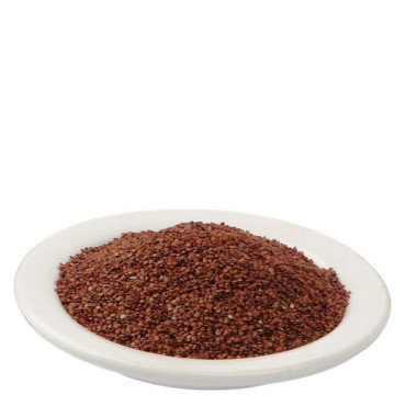 Lajwanti (Mimosa Pudica) | لاجونتی