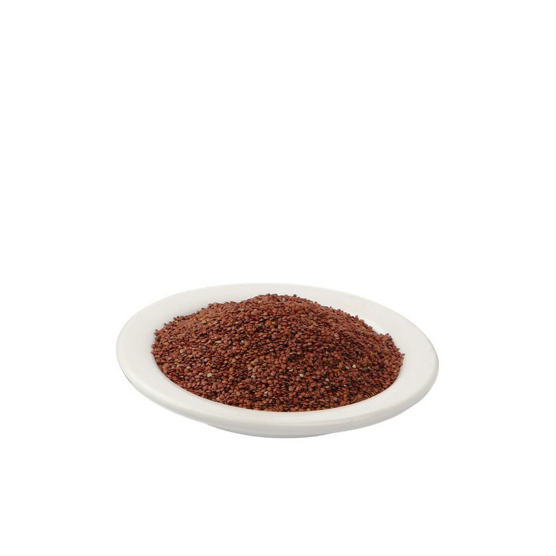 Lajwanti (Mimosa Pudica) | لاجونتی