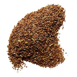 Lajwanti (Mimosa Pudica) | لاجونتی