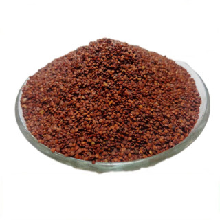 Lajwanti (Mimosa Pudica) | لاجونتی