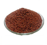 Lajwanti (Mimosa Pudica) | لاجونتی