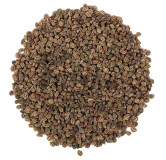 Celery Seeds (Tukhm e Karafs/Apium Graveolens) تخم کرفس