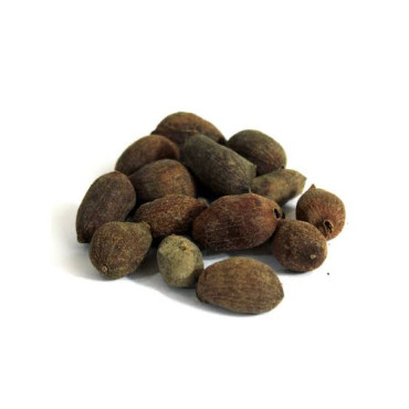 Java Palm Seeds (Tukhm e Jamun)