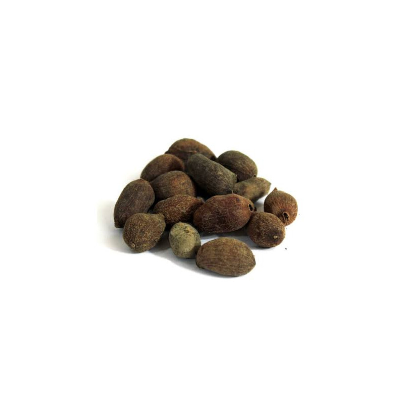 Java Palm Seeds (Tukhm e Jamun)