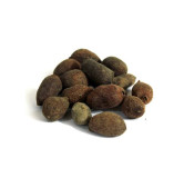 Java Palm Seeds (Tukhm e Jamun)
