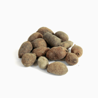 Java Palm Seeds (Tukhm e Jamun)