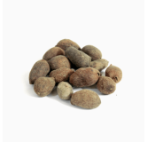 Java Palm Seeds (Tukhm e Jamun)