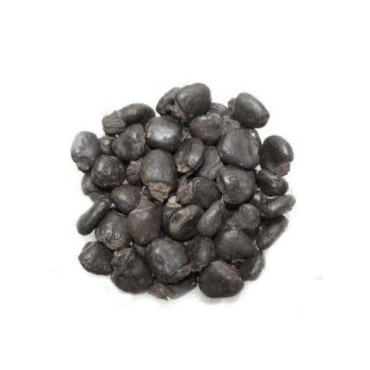 Bitterapple Seeds (Tukhm e Tumha)