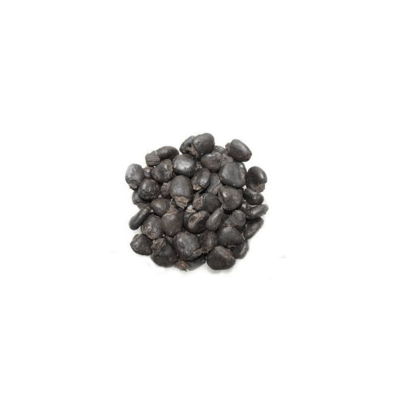 Bitterapple Seeds (Tukhm e Tumha)