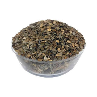 Bitterapple Seeds (Tukhm e Tumha)