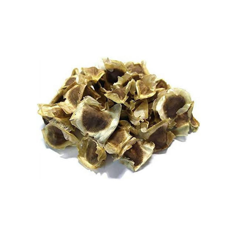 Moringa Seeds (Tukhm e Suhanjna)