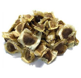 Moringa Seeds (Tukhm e Suhanjna)
