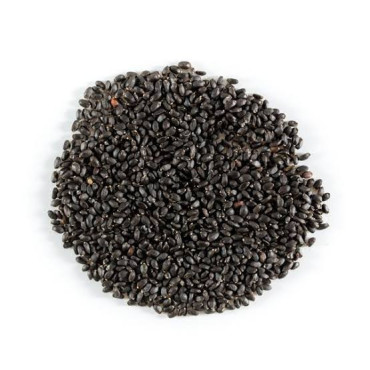 Tukmaria Seeds (Tukhm e Rehan)