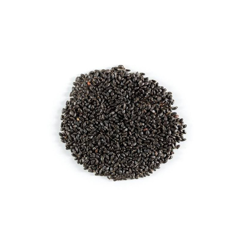 Tukmaria Seeds (Tukhm-e-Rehan) - Natural Health Booster | Hafiz Pansar
