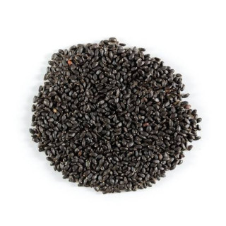 Tukmaria Seeds (Tukhm-e-Rehan) - Natural Health Booster | Hafiz Pansar