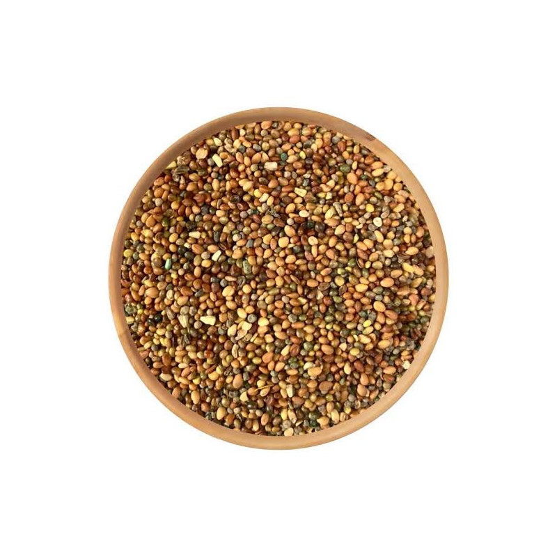 Dodder Seeds (Cuscuta Seeds/Tukhm e Kasoos)