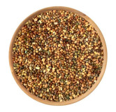Dodder Seeds (Cuscuta Seeds/Tukhm e Kasoos)