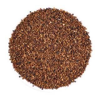 Dodder Seeds (Cuscuta Seeds/Tukhm e Kasoos)