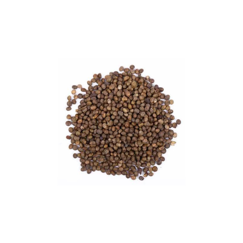 Phyllanthus maderaspatensis seeds (Madras Leaf Flower Seeds/Kanocha)